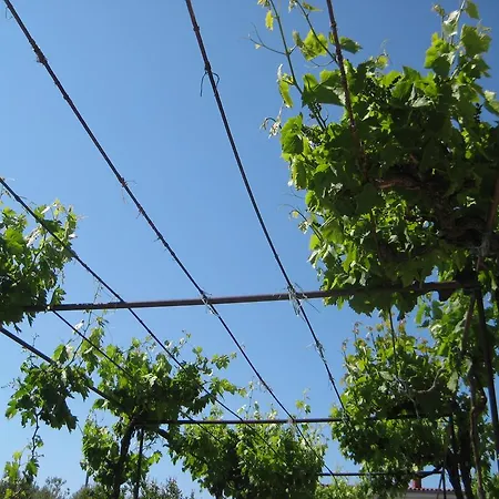 Apartment Bise Rogoznica (Sibenik-Knin)