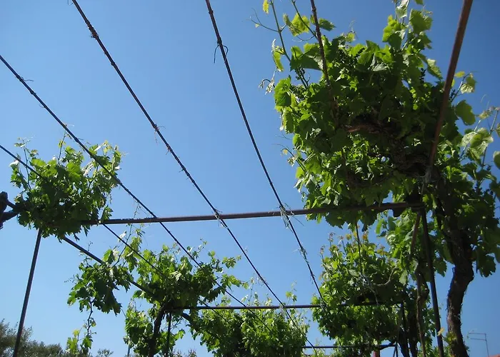 Apartman Bise Rogoznica (Sibenik-Knin)