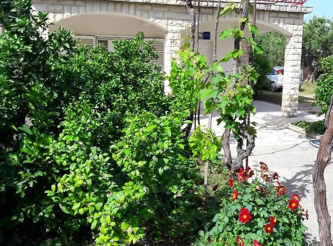 Apartman Bise Rogoznica (Sibenik-Knin)